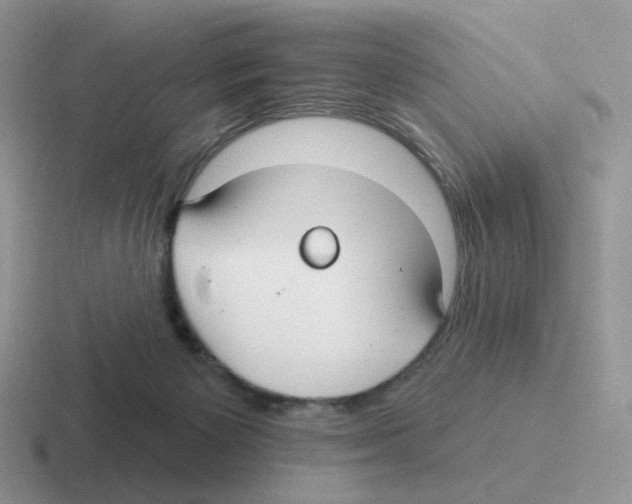 X0000116550125201001071123