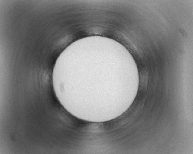 X0000116550126201001071123