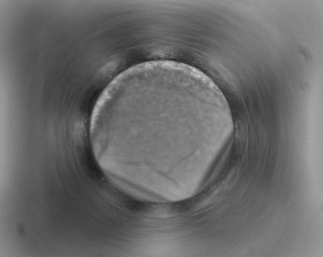 X0000116550127201001071123