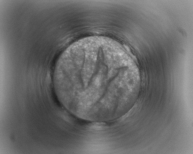 X0000116550128201001071123