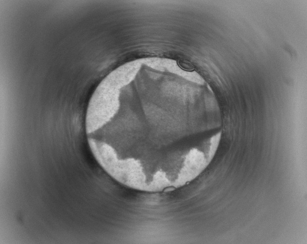 X0000116550131201001071123