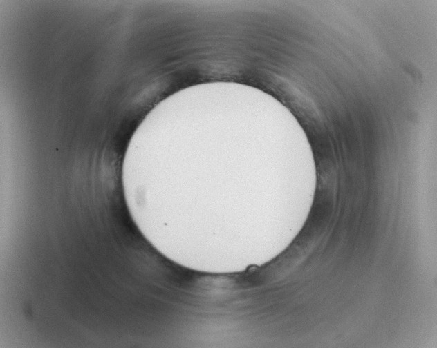 X0000116550133201001071123