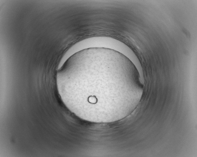 X0000116550136201001071123