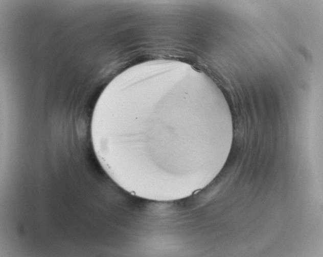 X0000116550139201001071123