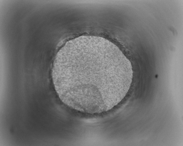 X0000116550144201001071123