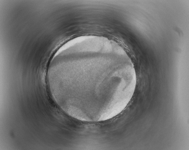 X0000116550146201001071122