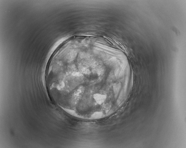 X0000116550147201001071122