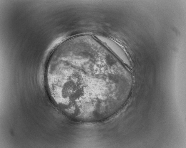 X0000116550149201001071122