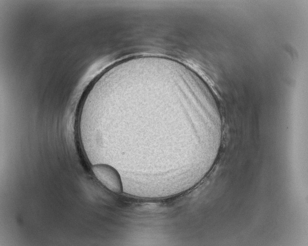 X0000116550151201001071122