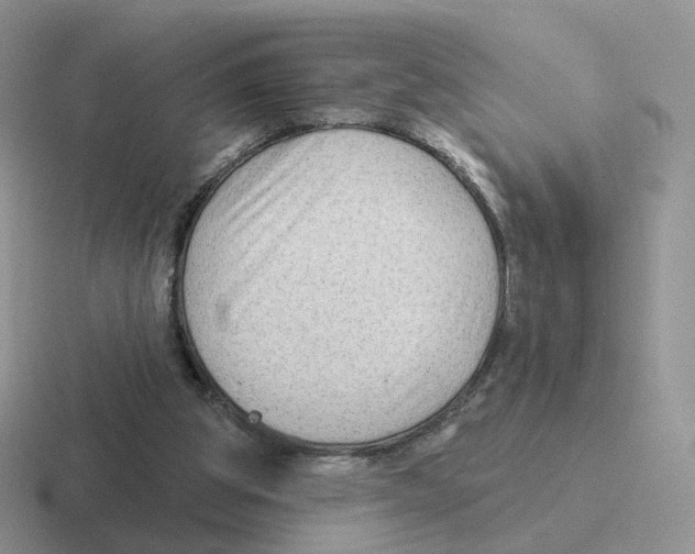 X0000116550153201001071122