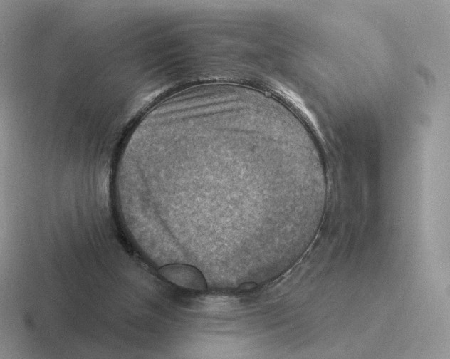 X0000116550154201001071122