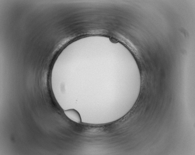 X0000116550155201001071122