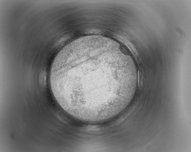 X0000116550157201001071122