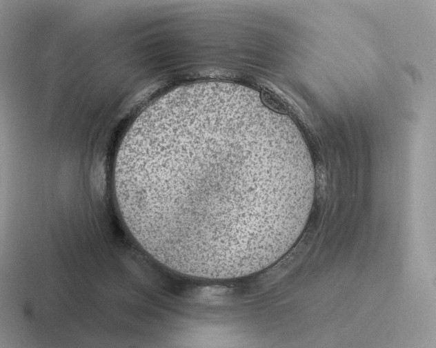 X0000116550158201001071122