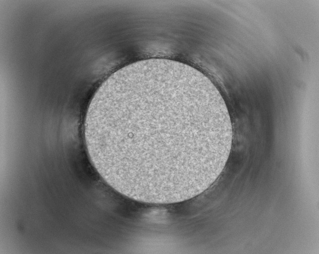 X0000116550162201001071123