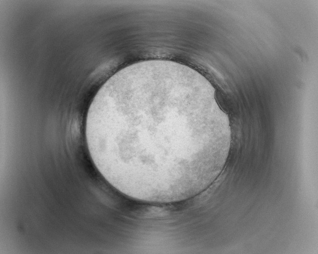 X0000116550166201001071123