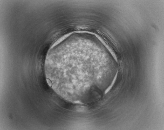 X0000116550169201001071123