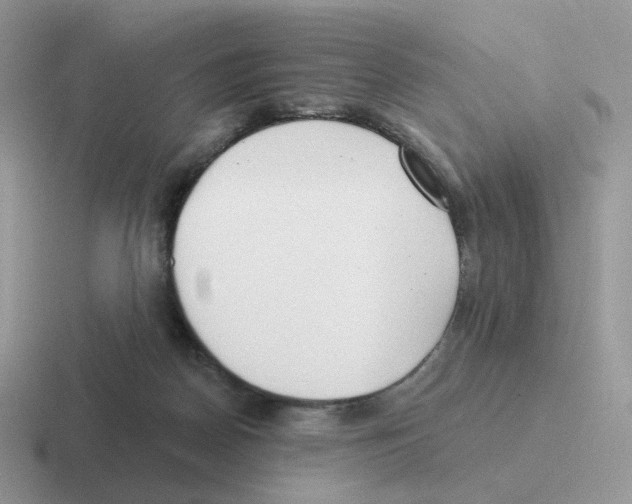 X0000116550170201001071123