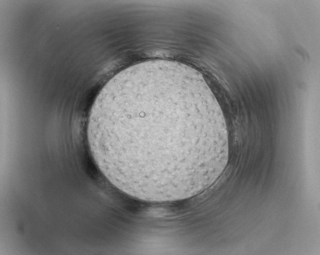 X0000116550171201001071123