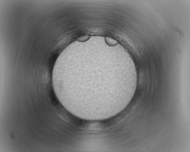 X0000116550173201001071123