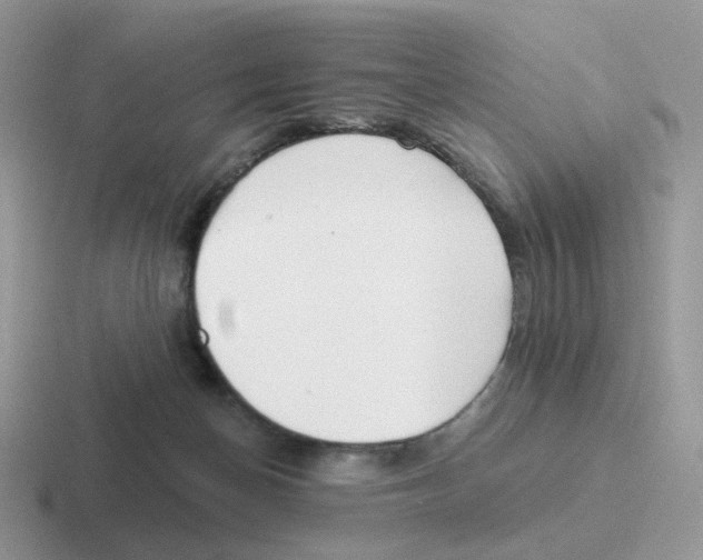 X0000116550174201001071123