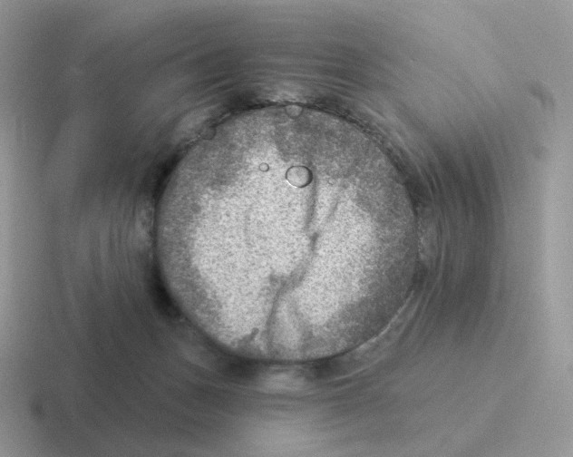 X0000116550175201001071123