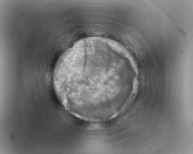 X0000116550177201001071123