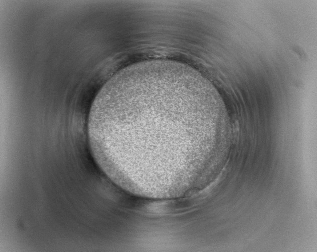 X0000116550178201001071123