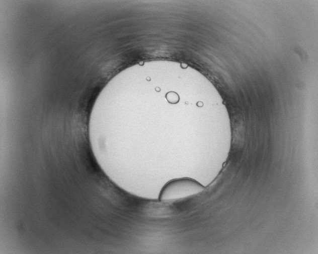 X0000116550179201001071123