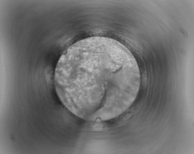 X0000116550181201001071123