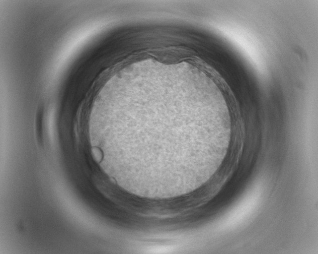 X0000116550189201001071123