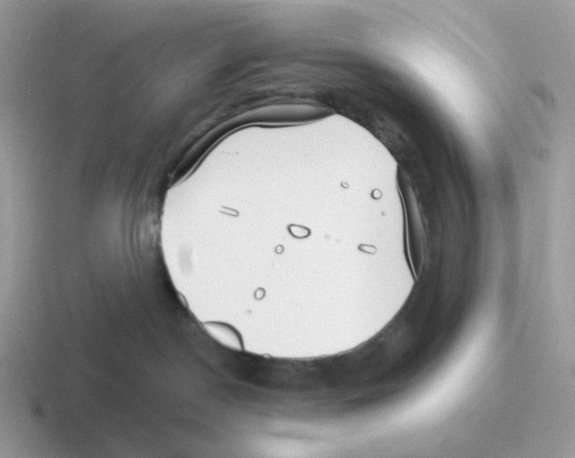 X0000116550190201001071123