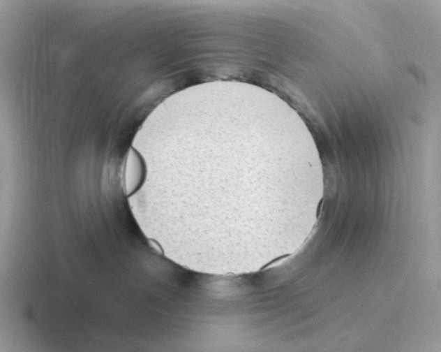 X0000116550191201001071123