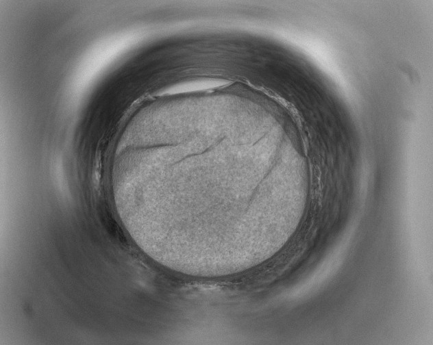 X0000116550194201001071122