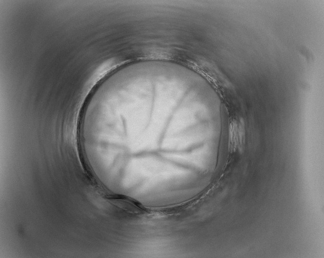 X0000116550195201001071122