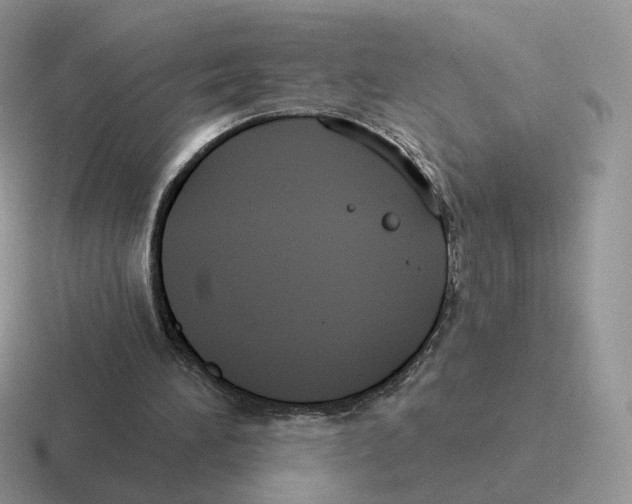 X0000116550196201001071122