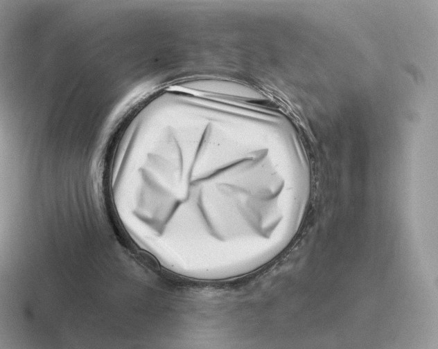 X0000116550197201001071122