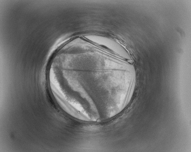 X0000116550198201001071122