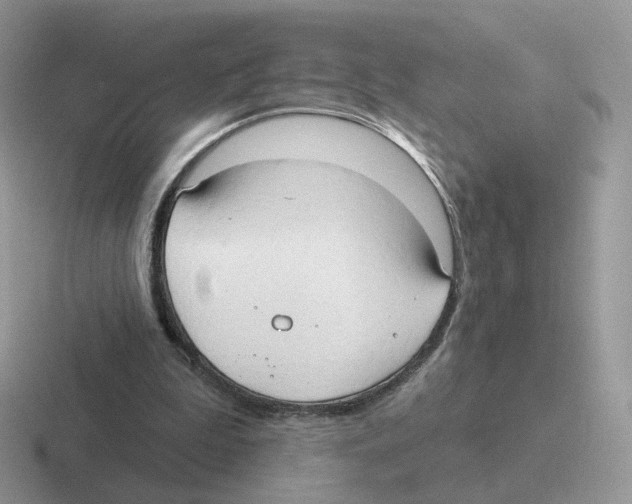 X0000116550199201001071122