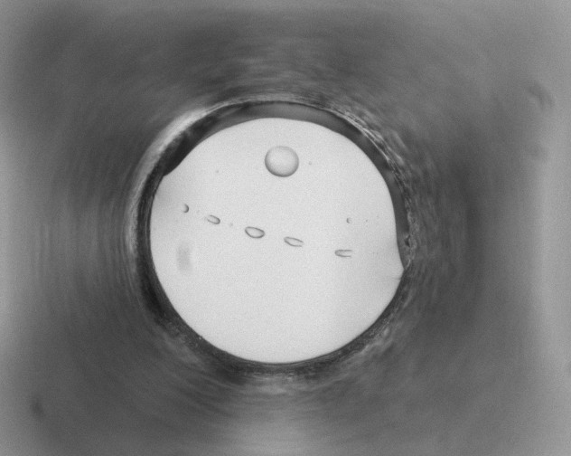 X0000116550200201001071122