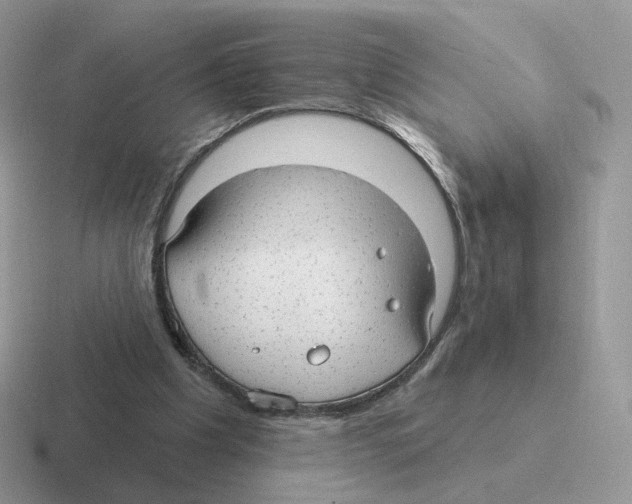 X0000116550201201001071122