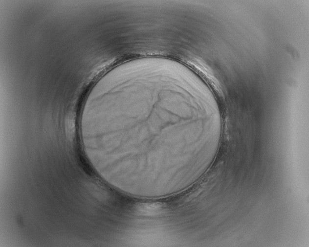 X0000116550202201001071122