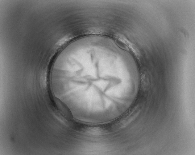 X0000116550203201001071122