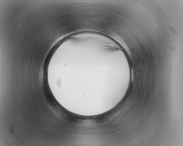 X0000116550204201001071122