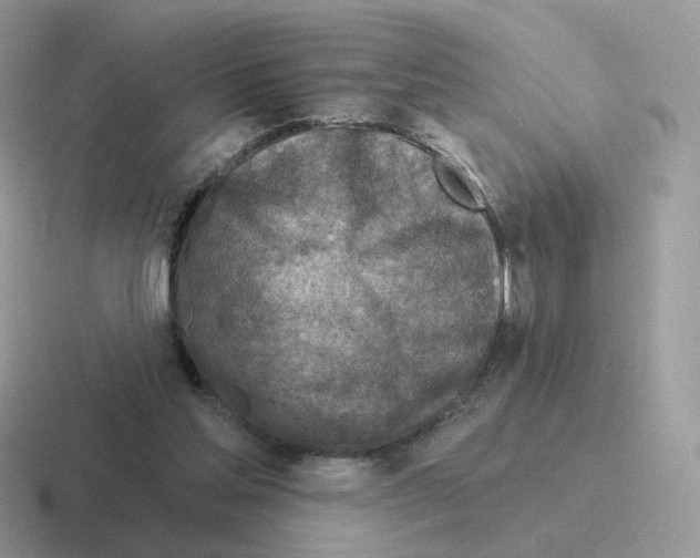 X0000116550205201001071122