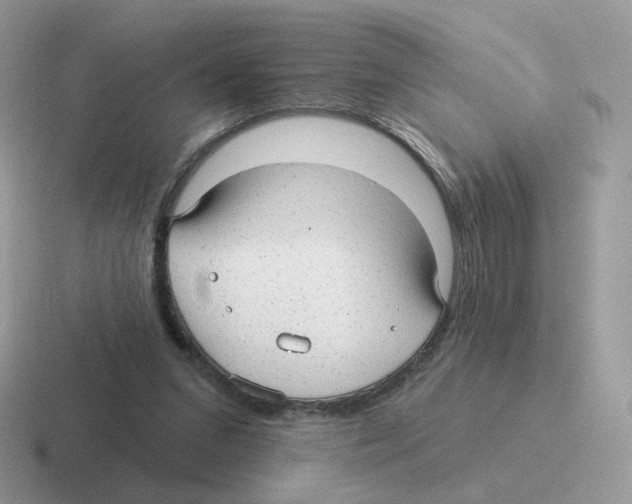 X0000116550207201001071122