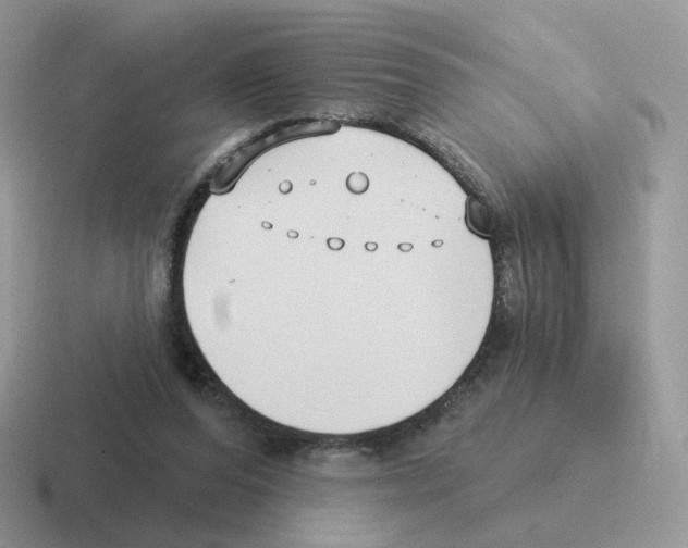 X0000116550208201001071122