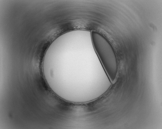 X0000116550209201001071122