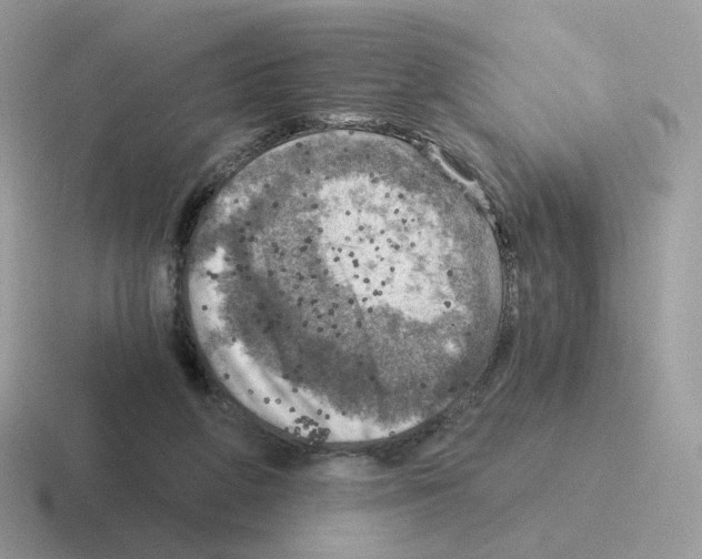 X0000116550210201001071122