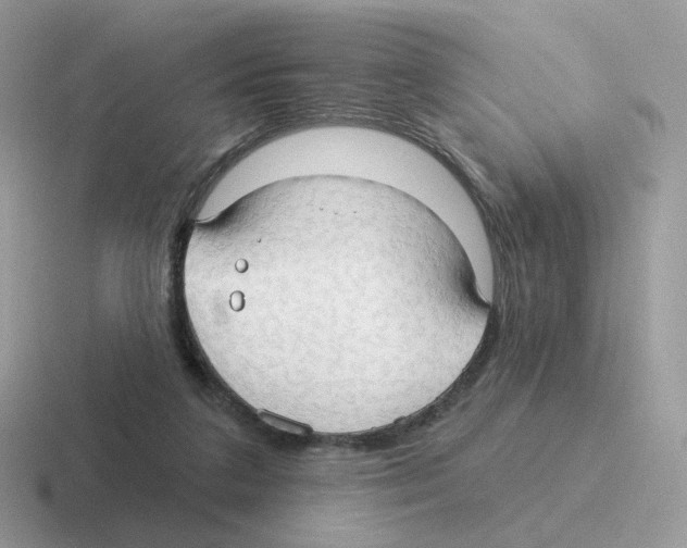 X0000116550211201001071122